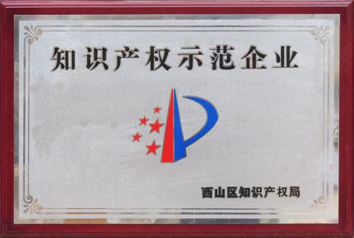知识产权示范企业如何借力知识产权服务实现价值跃升