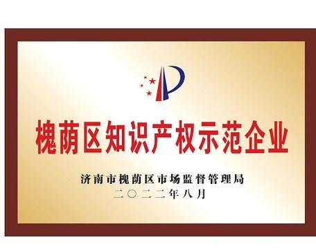知识产权示范企业 打通知识产权服务的“最后一公里”