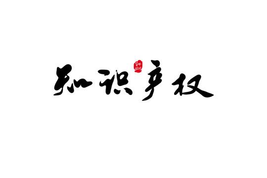 创新之光，服务之翼 知识产权图片与知识产权服务的协同力量